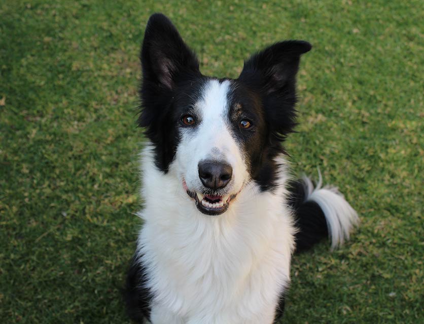 Xena